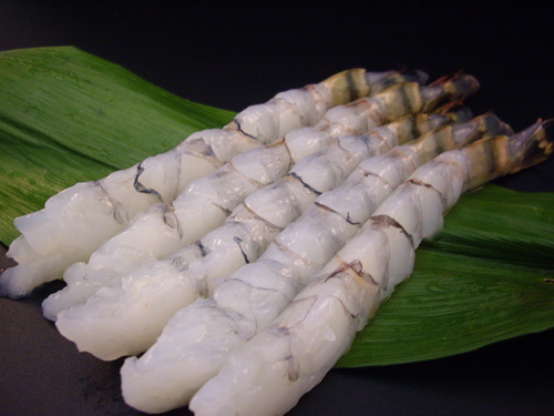 お魚仕入どっとこむ 魚・鮮魚・海老・水産物の仕入れなら魚市場発仕入