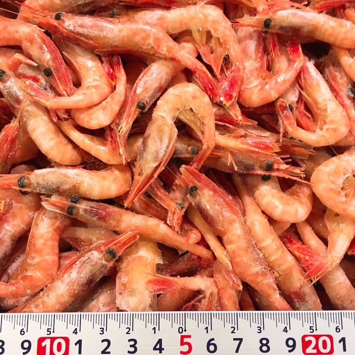 お魚仕入どっとこむ 魚・鮮魚・海老・水産物の仕入れなら魚市場発仕入