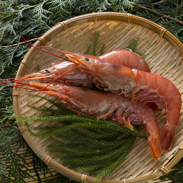 お魚仕入どっとこむ 魚・鮮魚・海老・水産物の仕入れなら魚市場