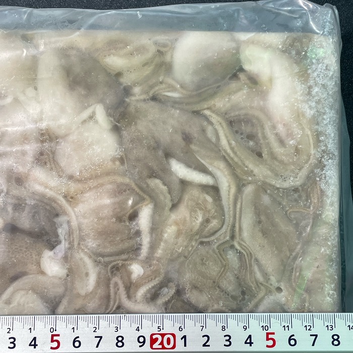 ☆Emma☆ 大きな魚籠他 おまとめ3点 Octopus fishing] Octopus fishing has begun at Yokkaichi