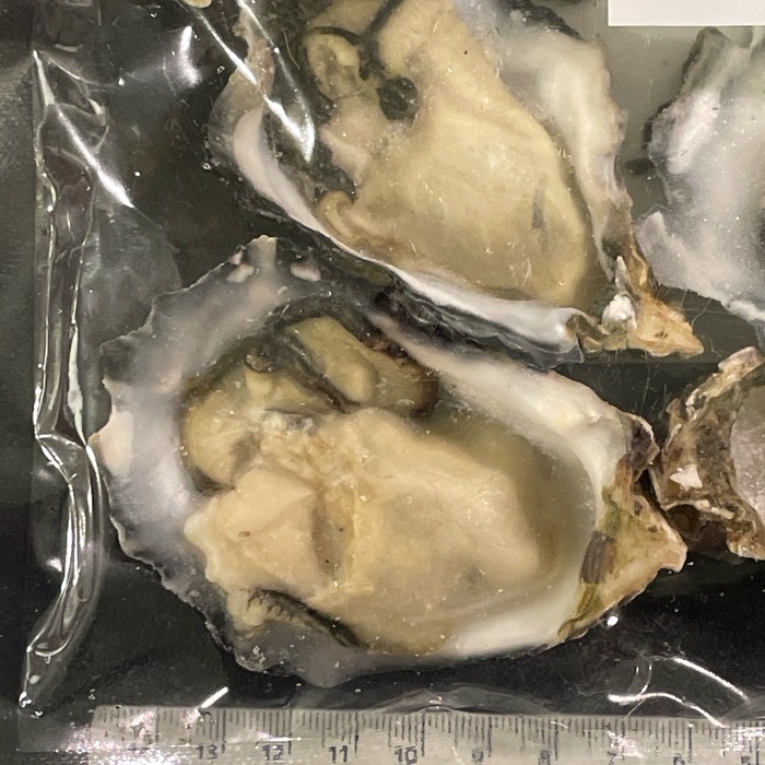 お魚仕入どっとこむ 魚・鮮魚・海老・水産物の仕入れなら魚市場