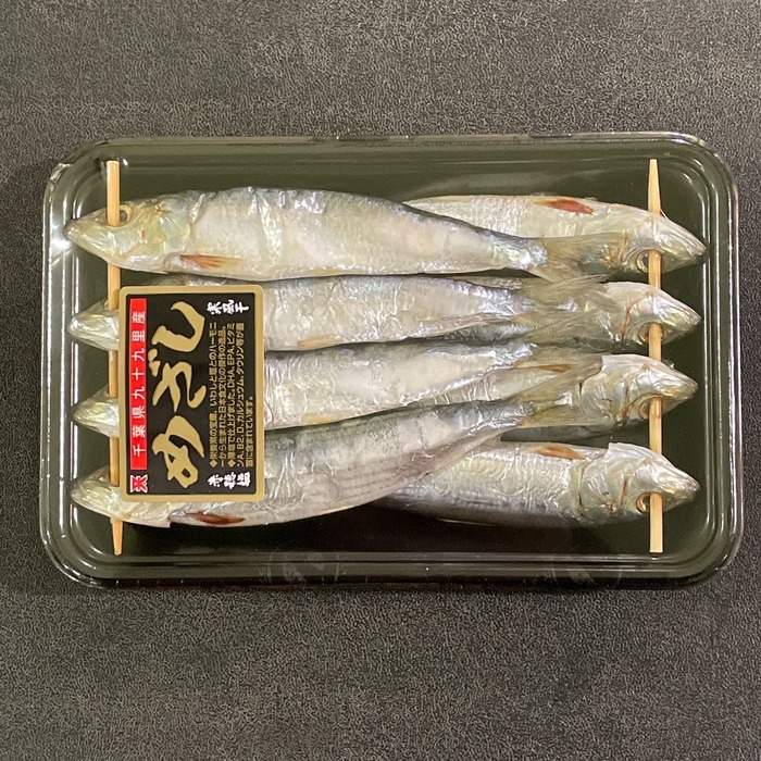 お魚仕入どっとこむ 魚・鮮魚・海老・水産物の仕入れなら魚市場