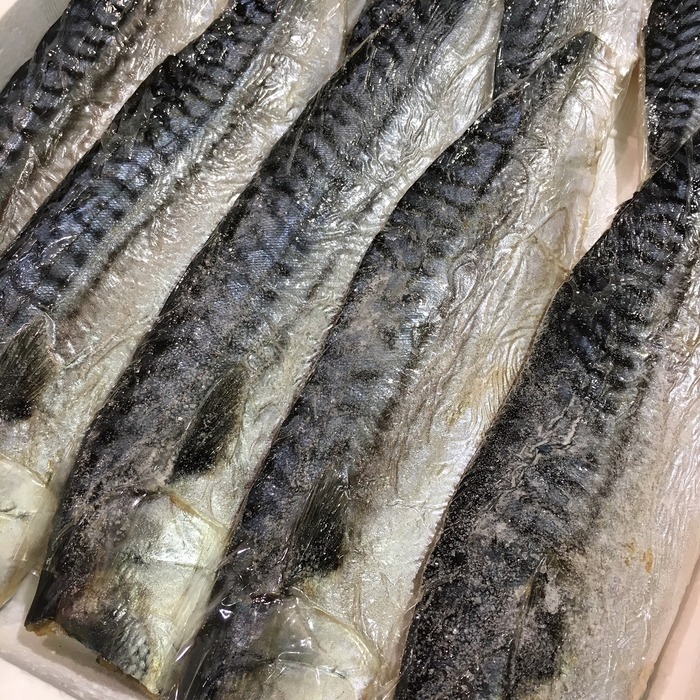 お魚仕入どっとこむ 魚・鮮魚・海老・水産物の仕入れなら魚市場