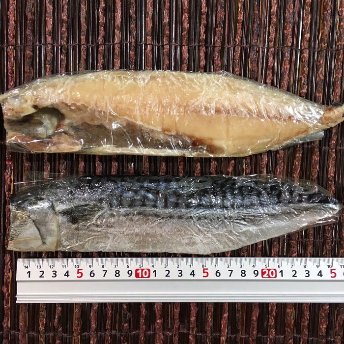 お魚仕入どっとこむ 魚・鮮魚・海老・水産物の仕入れなら魚市場