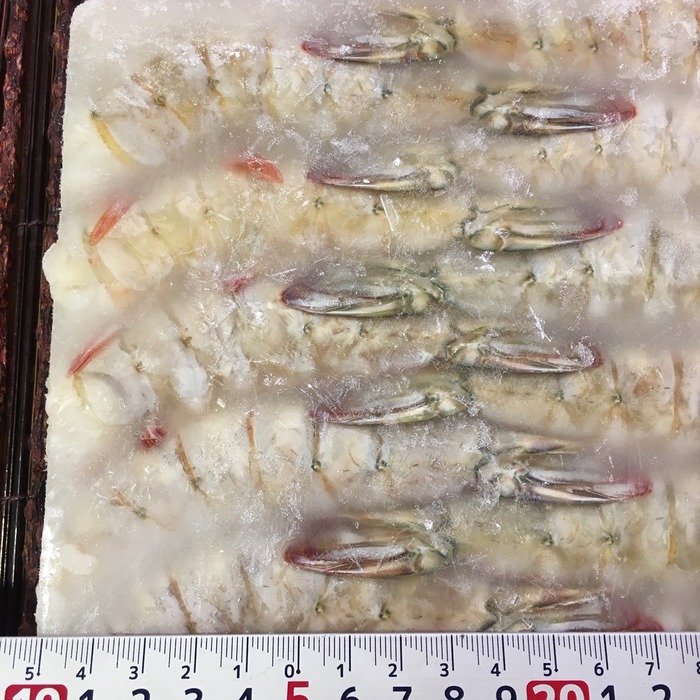 お魚仕入どっとこむ 魚・鮮魚・海老・水産物の仕入れなら魚市場